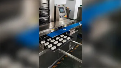 Automatic Tray Arranging Machine