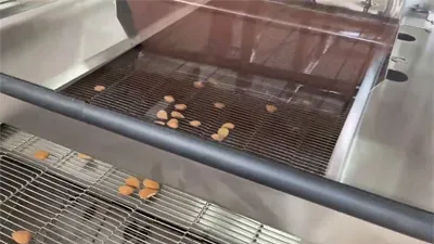 Chocolate Enrobing and Cooling Machine