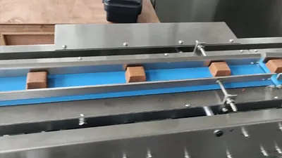 Horizontal Flow Wrapping Machine (Lower Reel)