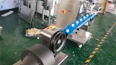 Protein Ball Production Line