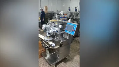 Encrusting Machine with Stamper and Panner for Making Cookie at UAE Customer's Plant in 2022