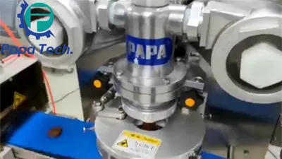 Encrusting Machine with Rounder for Making Protein Ball at USA Customer's Plant in 2023