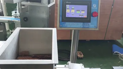 Protein Bar Extrusion Machine (100pcs/min)