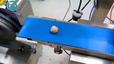 Encrusting Machine with Rounder and Coating Machine for Making Date Ball at Polish Customer's Plant in 2023