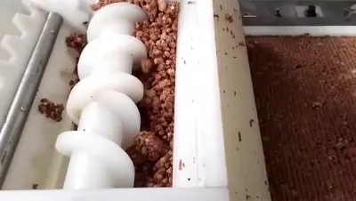 Cereal Bar Slab Forming and Cutting