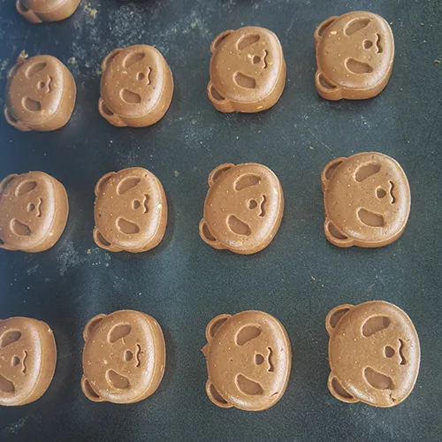Automatic Tray Arranging Machine