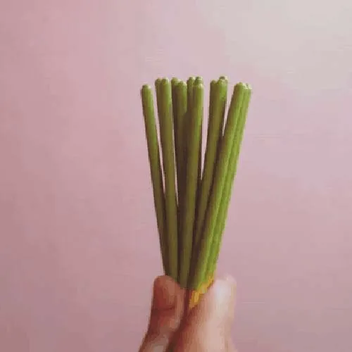 Chocolate Dipping Machine