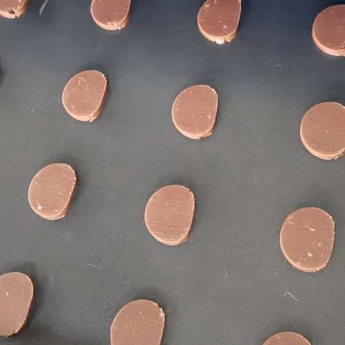 Mooncake/Filled Cookie Production Line